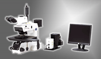 OLYMPUS U-UVF248